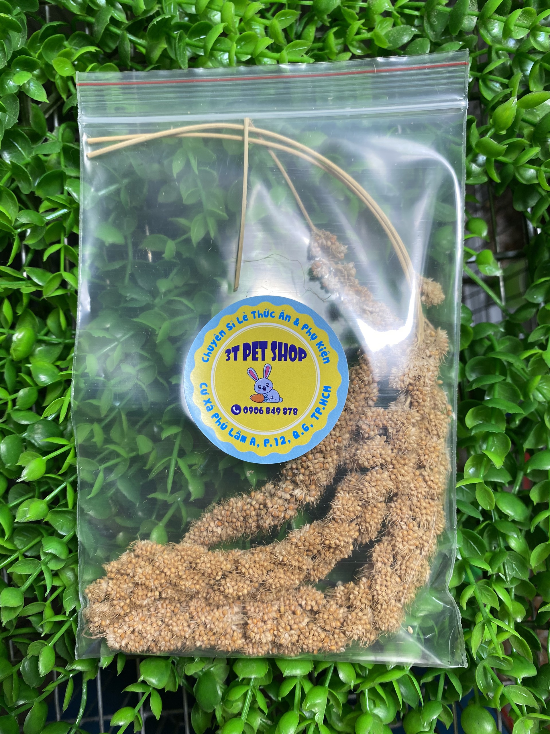 [HCM]HẠT K&Ecirc ( THỨC ĂN DẶM CHO HAMSTER )