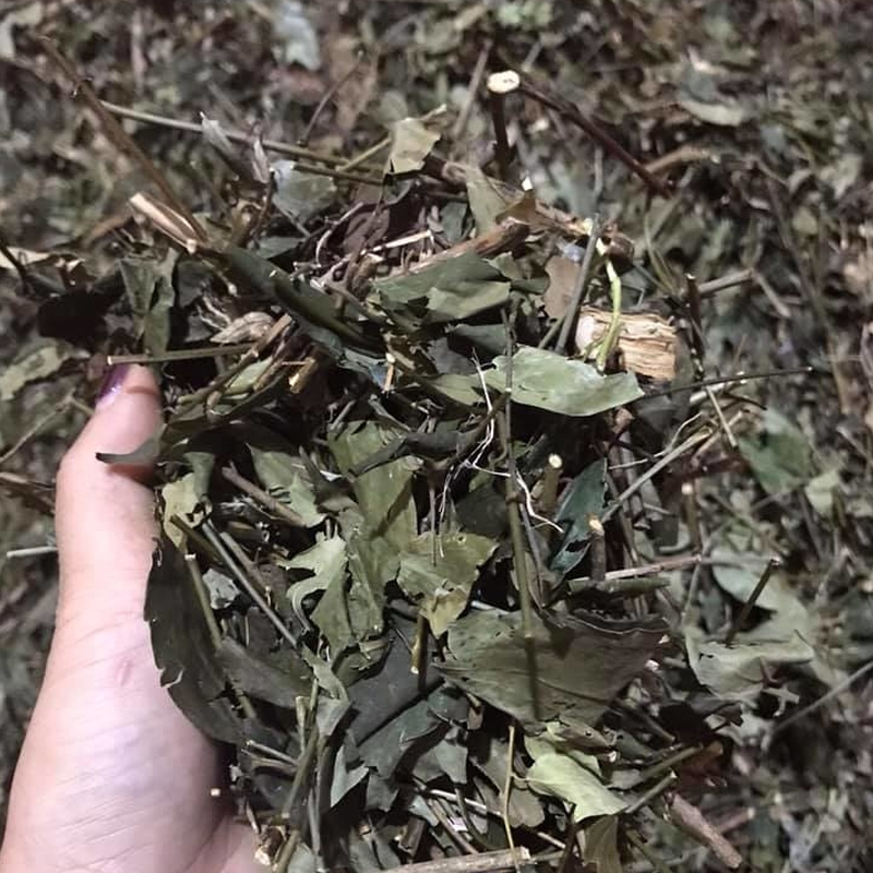 Chè vằng sẻ khô (gói 1kg) - DV004
