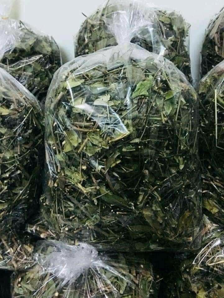 Lá chè vằng khô (1kg)