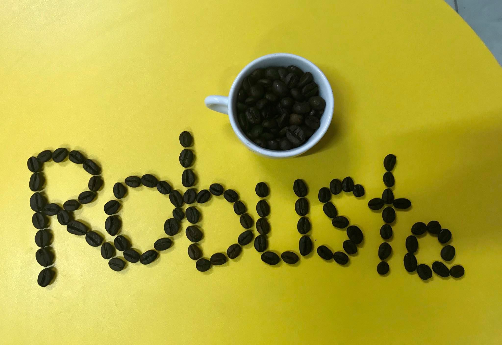 Cà Phê hạt Robusta - 160k/kg