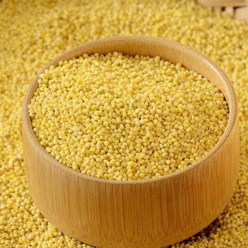 Hạt kê Millet 454g