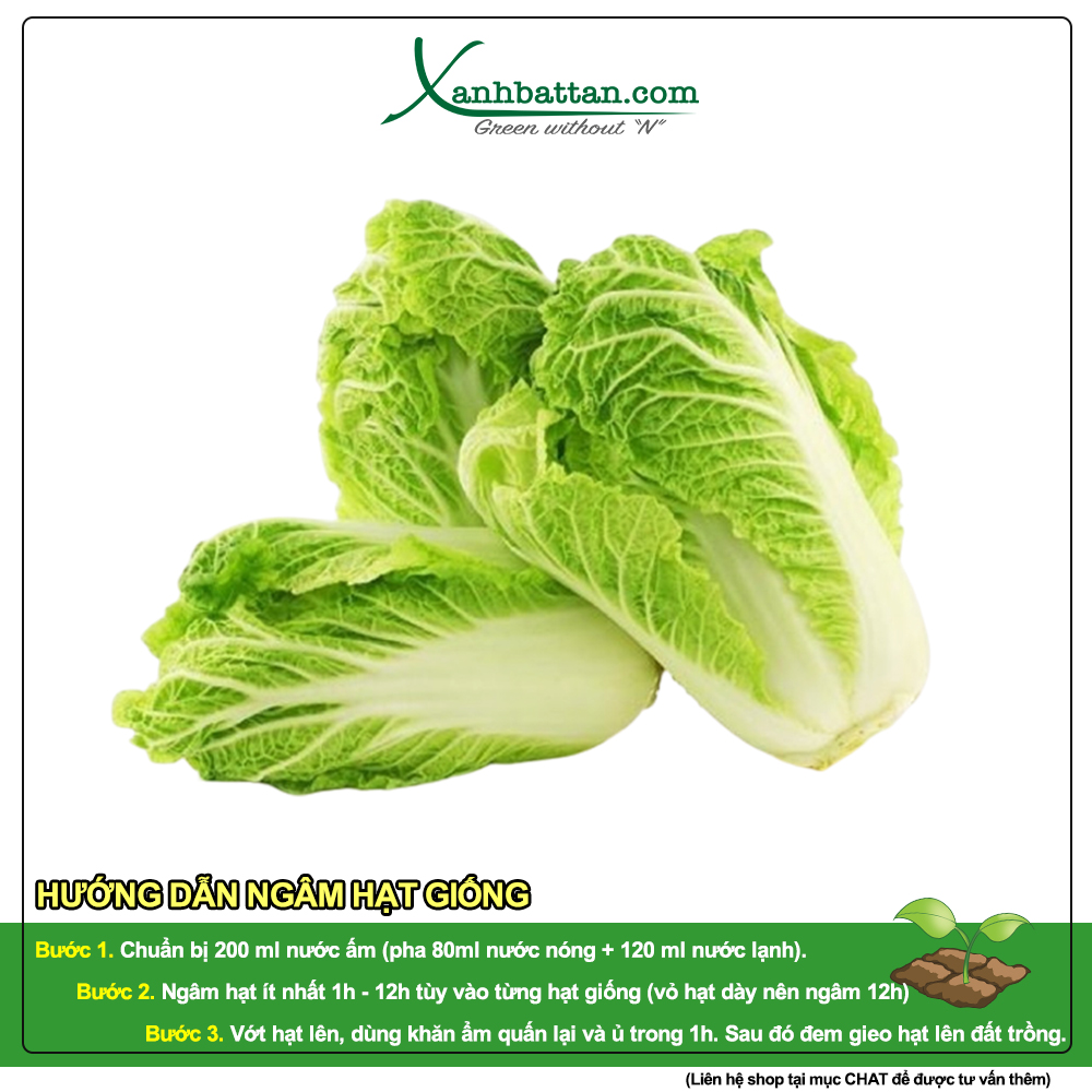 Hạt Giống Cải Bẹ Dún Phú Nông Gói 10 Gram