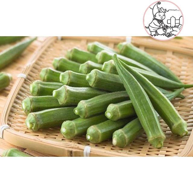 Hạt đậu bắp lai ấn độ - gói 20 gram