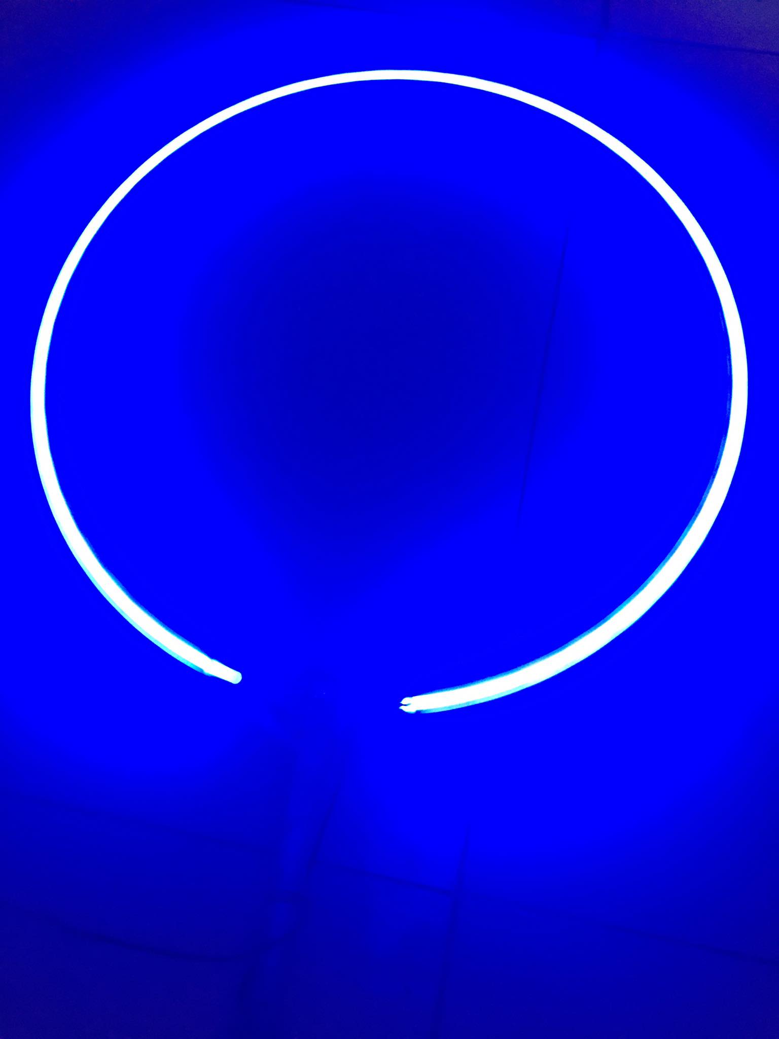 vòng đèn neon led (25cm)