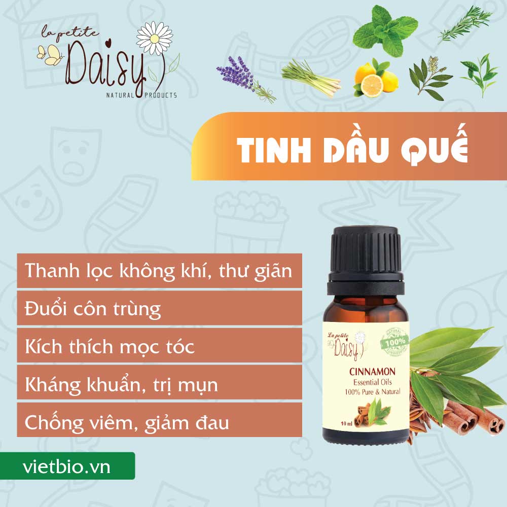 Tinh dầu quế 50ml