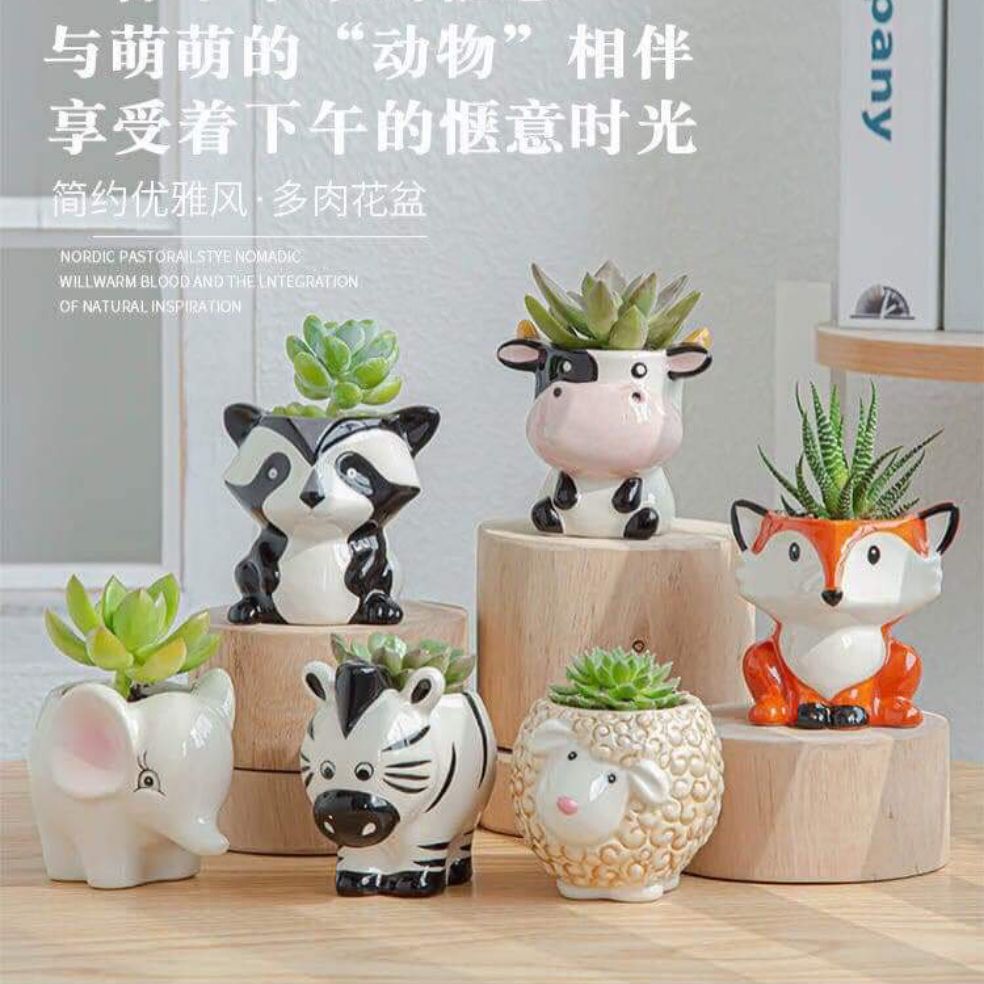 6 chậu gốm mini hình con vật cute.