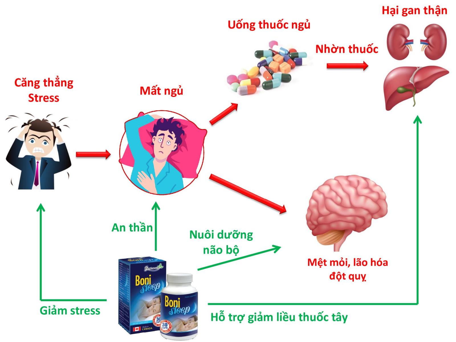 Boni Sleep Hỗ trợ cho người mất ngủ Canada