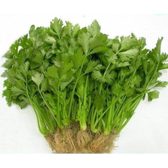 Hạt giống cần tây 5gr