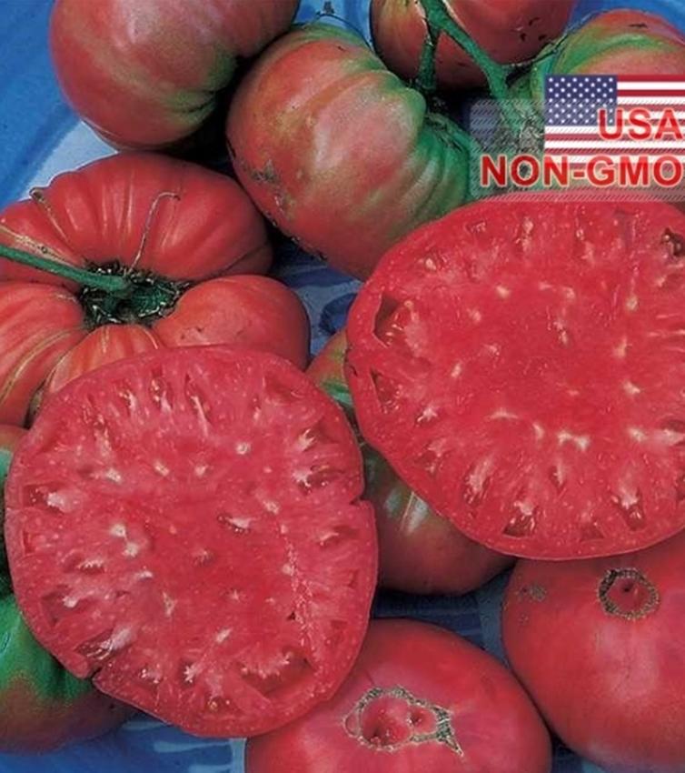 Hạt giống cà chua - ngọt đại