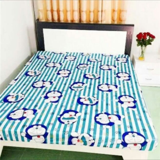 [HCM]áo nệm 2 lớp thun lạnh 1m6 x 2m