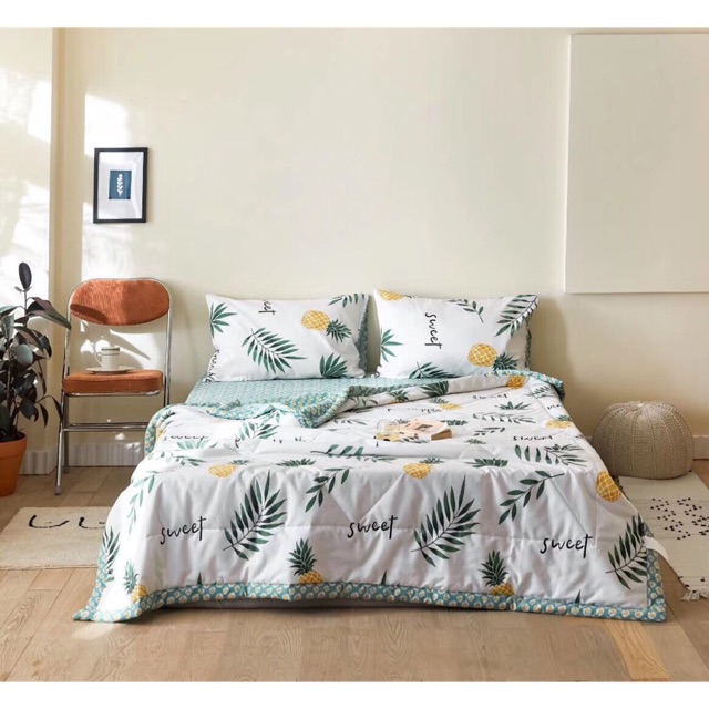 Bộ Ga gối chăn trần cotton living 4 món chất mát, mịn