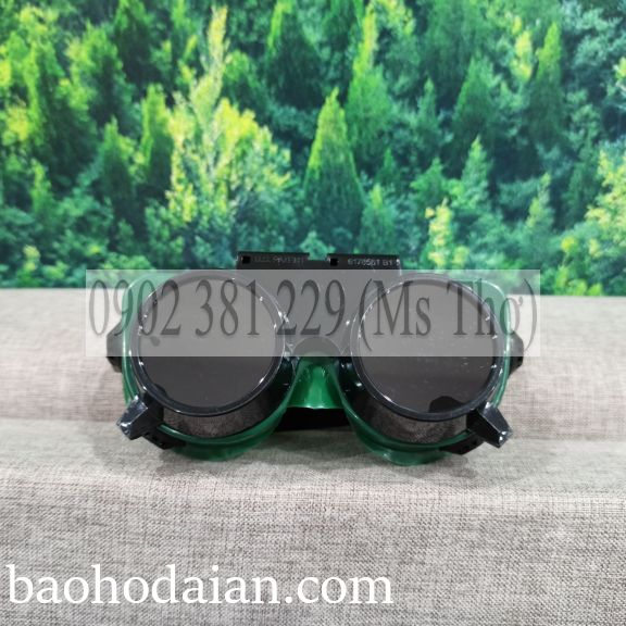 Kính hàn hơi 2 tròng Blue Eagle GW250