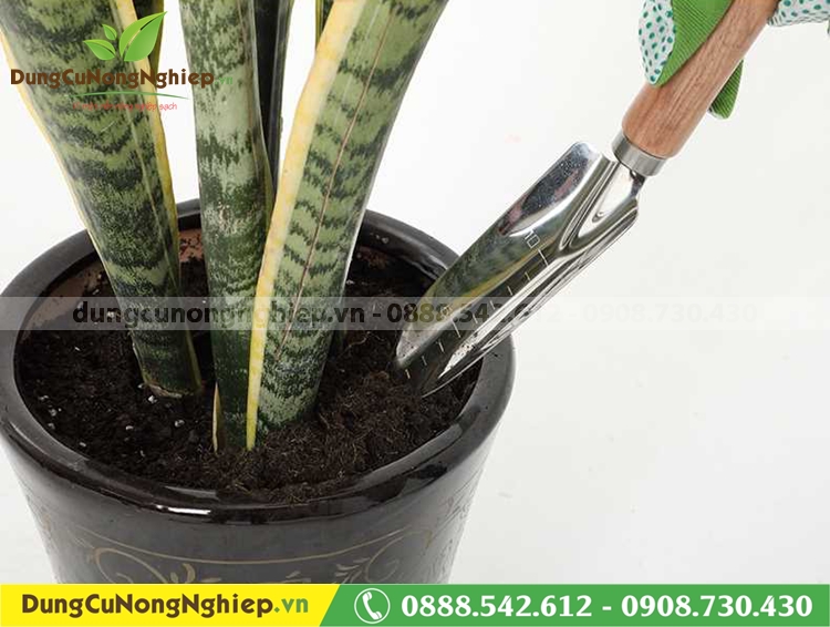 Bay tay lớn có thước đo Evergreen mũi nhọn