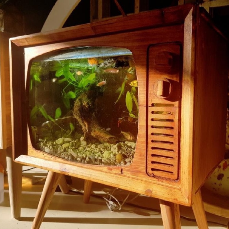 Bể cá gỗ TiVi Vintage