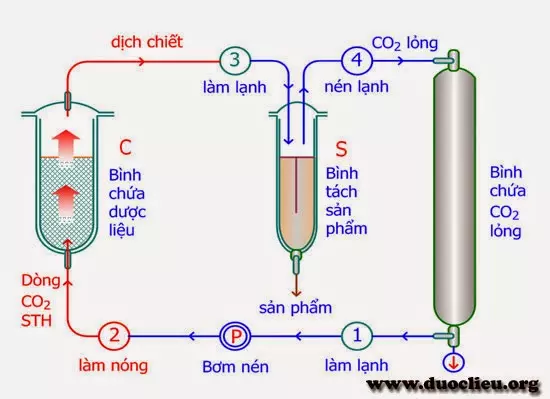 Dinh duong trẻ