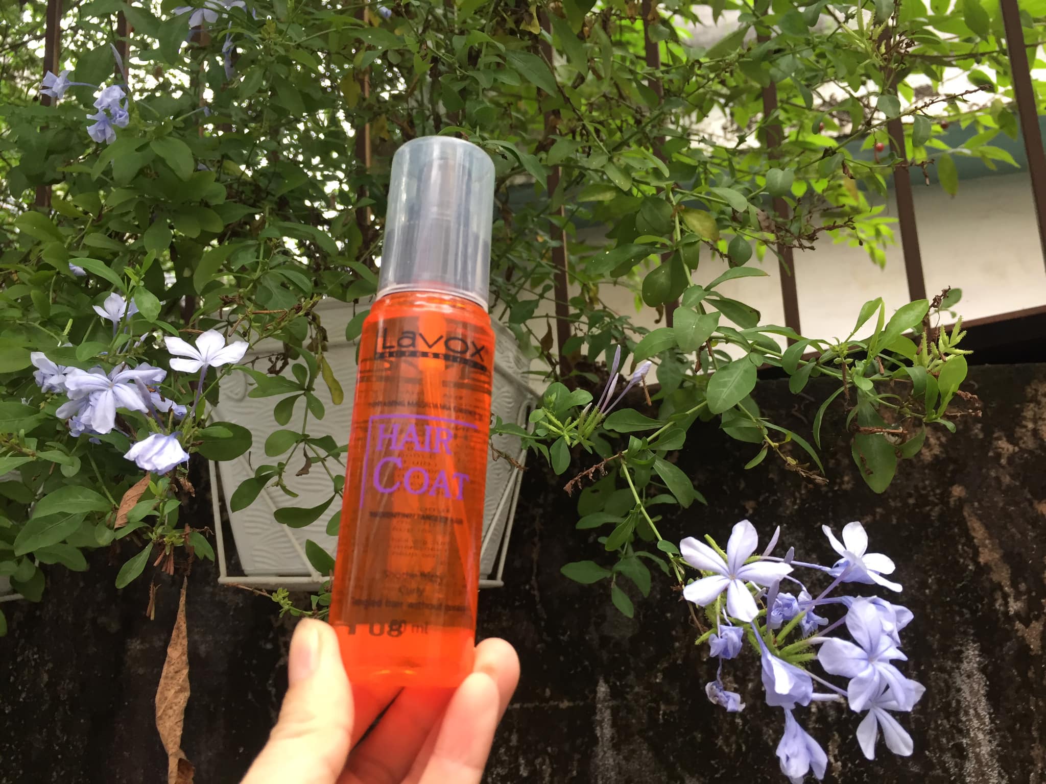 Chai xịt Dầu bóng tóc Lavox 80 ml