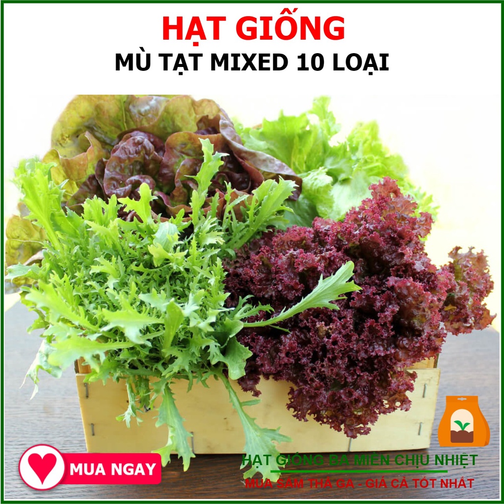 Hạt giống cải mù tạt mixed 10gram