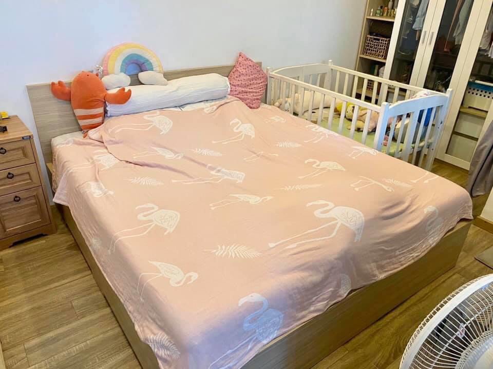 (Queen Bed) Mền organic cotton sợi tre Nhật Bản