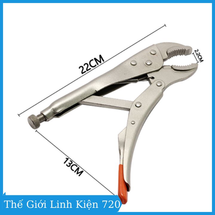 Kìm chết Asaki 10 inch mũi cong