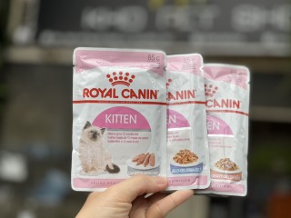 Pate Royal Canin cho mèo bé - Kitten thumbnail