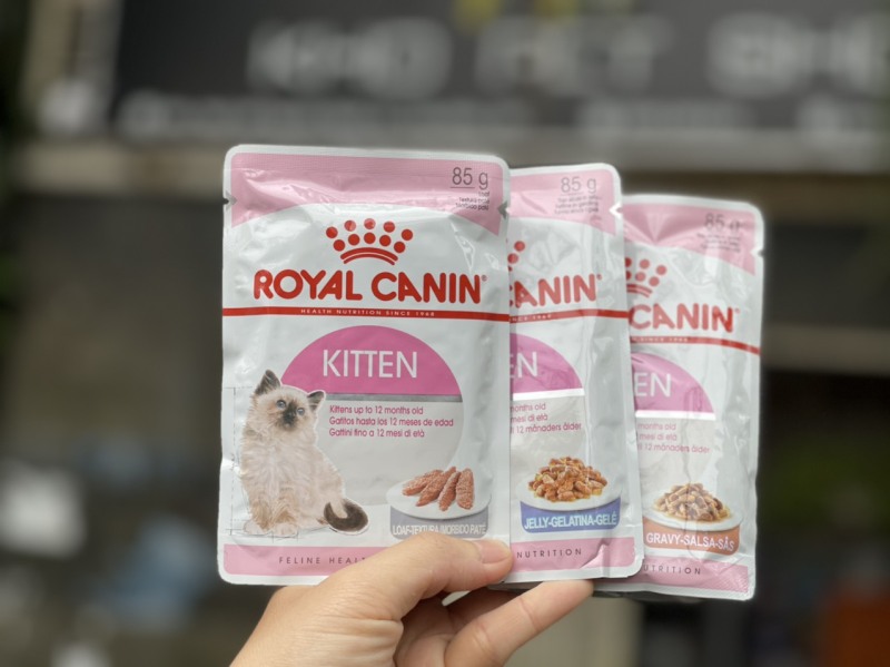 Pate Royal Canin cho mèo bé - Kitten