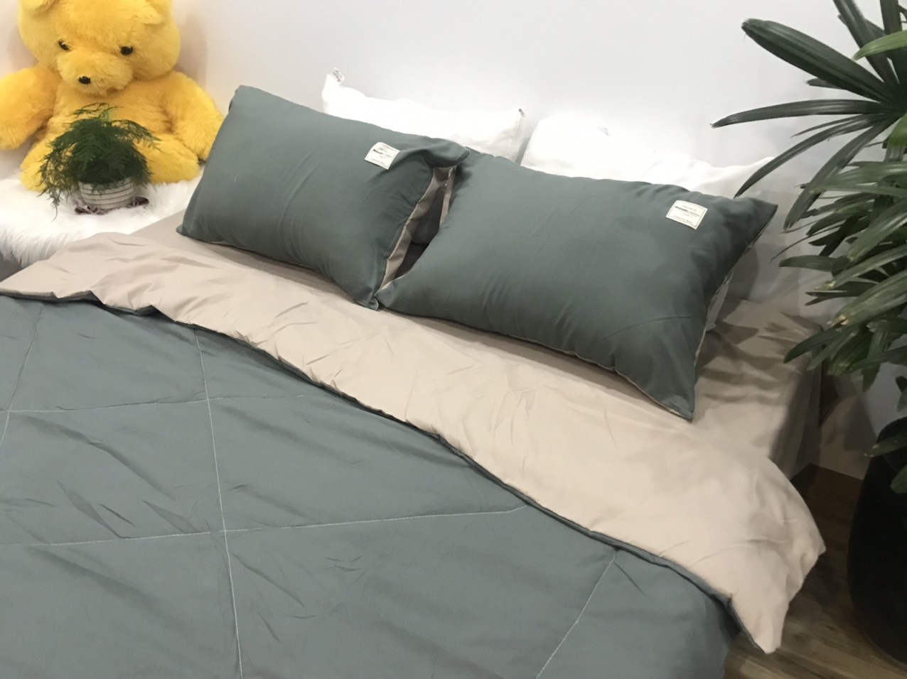 Bộ Chăn Ga Gối Cotton TiCi ( gồm 1 chăn hè đã chần bông, 1 ga và 2 vỏ gôi nằm )