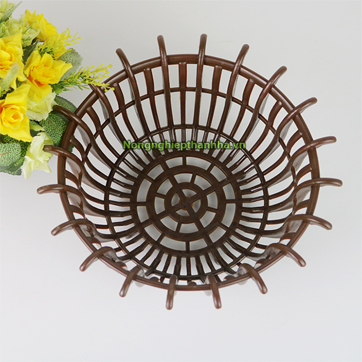 Chậu trồng lan hình sen phi 25cm - CN32