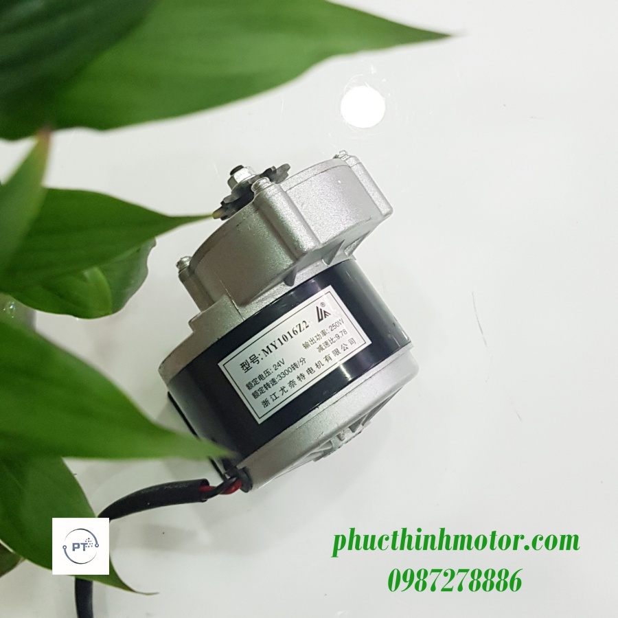 Động cơ chổi than 24v250w