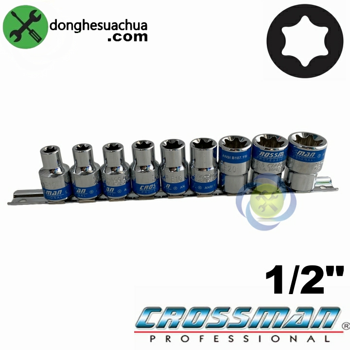 Bộ tuýp sao đầu E 9 chi tiết Crossman 87-059 chuôi 1/2