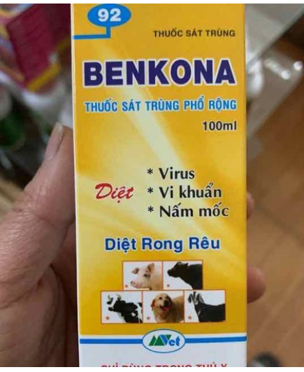 Benkona  sát khuẩn diệt rong rêu 100ml (dùng cho phong lan)