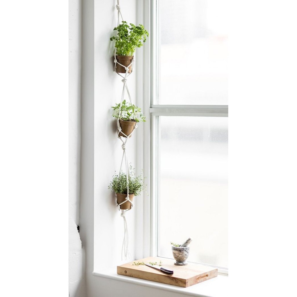 Dây treo 3 chậu coton