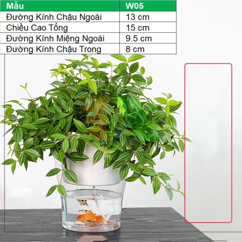 Chậu 2 lớp trồng Hoa Cây cảnh để bàn