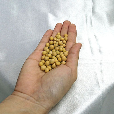 ĐẬU NÀNH ORGANIC 500g cobadalat