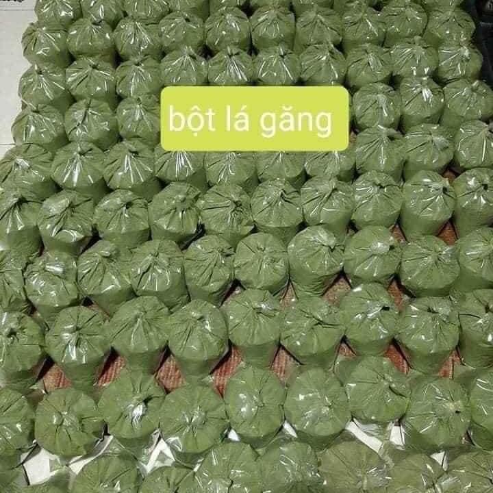 bột thạch găng xanh thơm ngon không chua(tặng vôi)