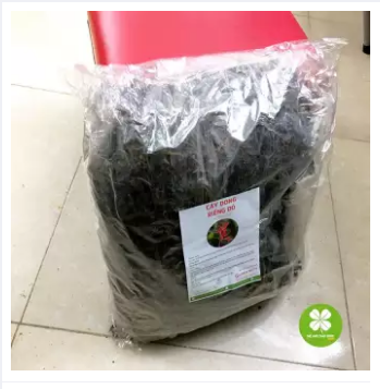 Cây dong riềng đỏ (gói 1kg) - LV162