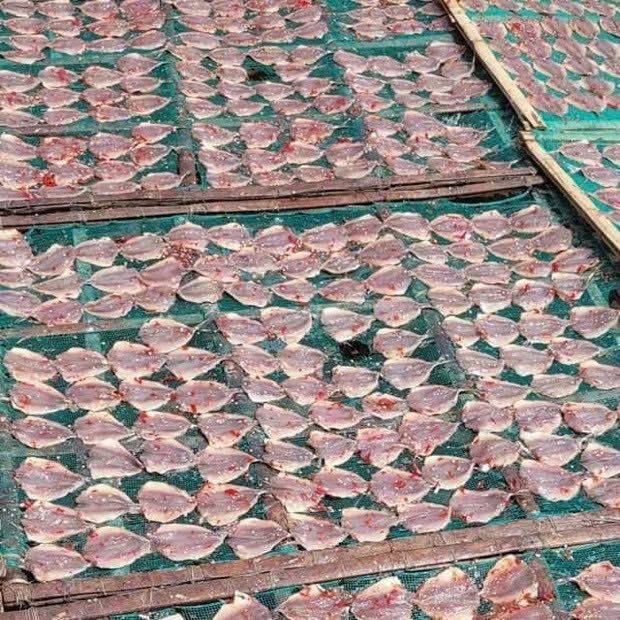 Cá Chỉ Vàng khô tẩm vị Đặc Sản Phan Thiết