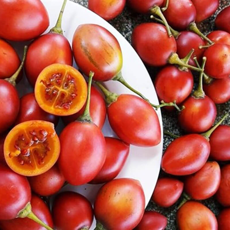 Hạt giống cà chua thân gỗ - gói 10 hạt
