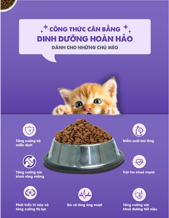 [1KG] Thức ăn hạt  Today's dinner Kitten dành cho mèo nhỏ