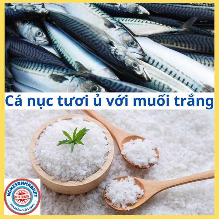 Nước mắm cốt cá nục Thanh Hóa ngon can 2 lít