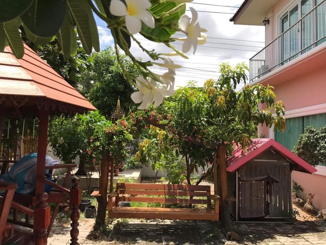 Giá Gốc - Sứ Đại lớn