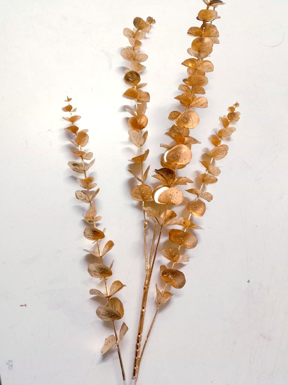 rẻ quạt, cành vàng trang trí tết