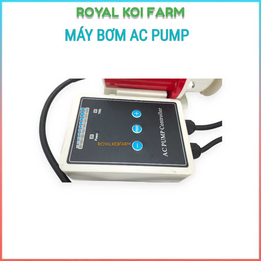 Máy Bơm Nước AC Pump 9000, 12000, 15000, 25000