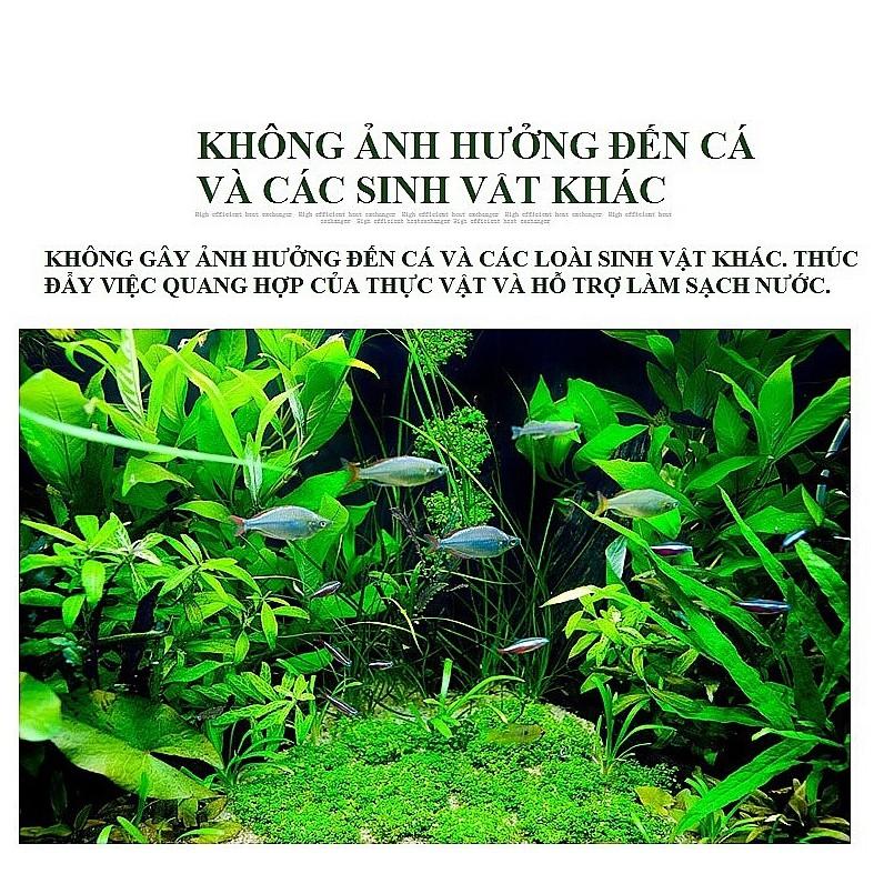 CO2 Dạng Viên Sủi Cho Bể Thủy Sinh (Hộp 60 Viên Nén)
