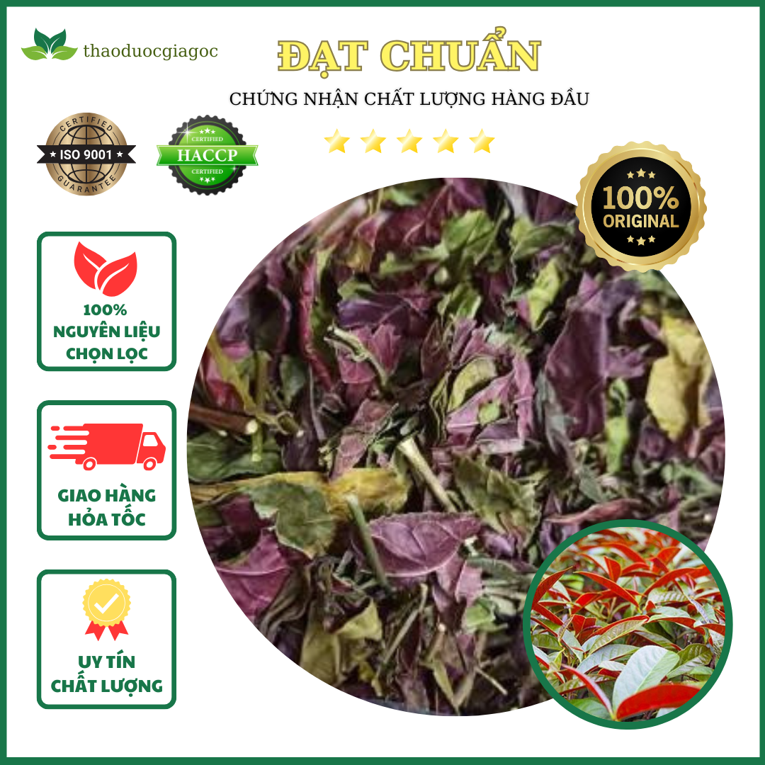 Lá đơn đỏ khô chống mẩn ngứa,tiêu hoá kém,đại tràng.1kg