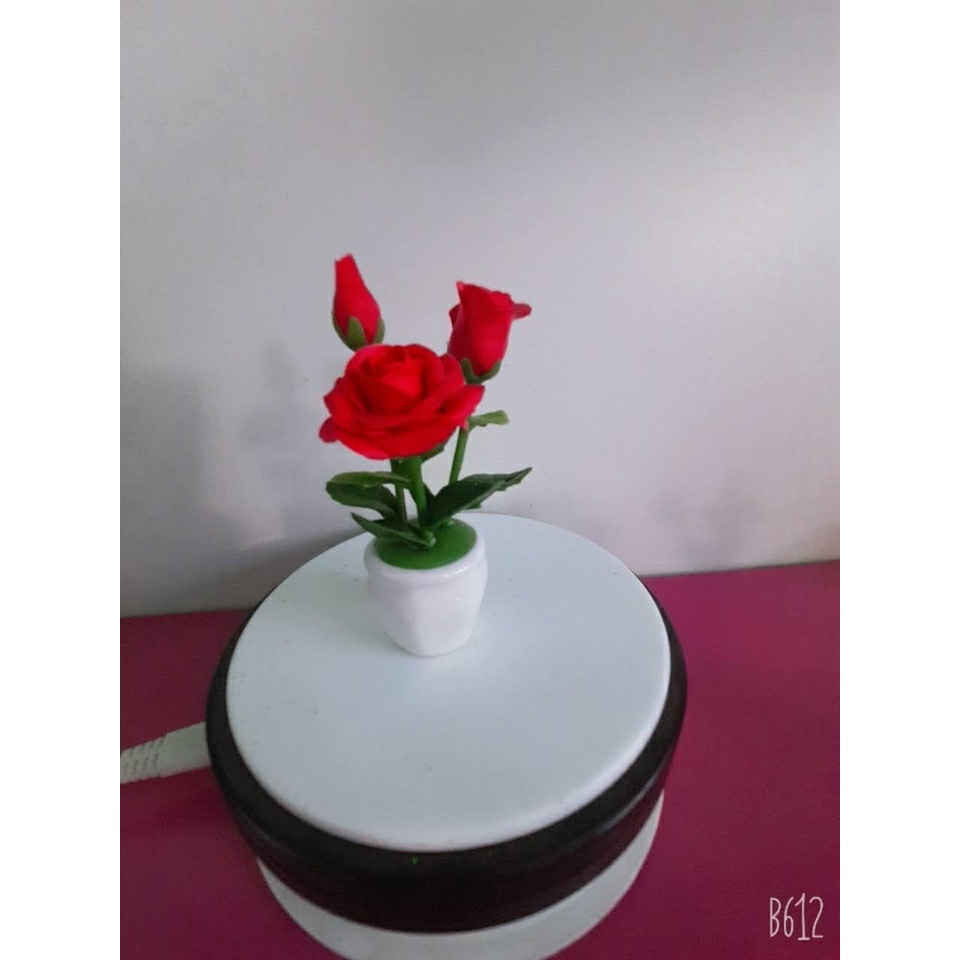Hồng mini dể thương