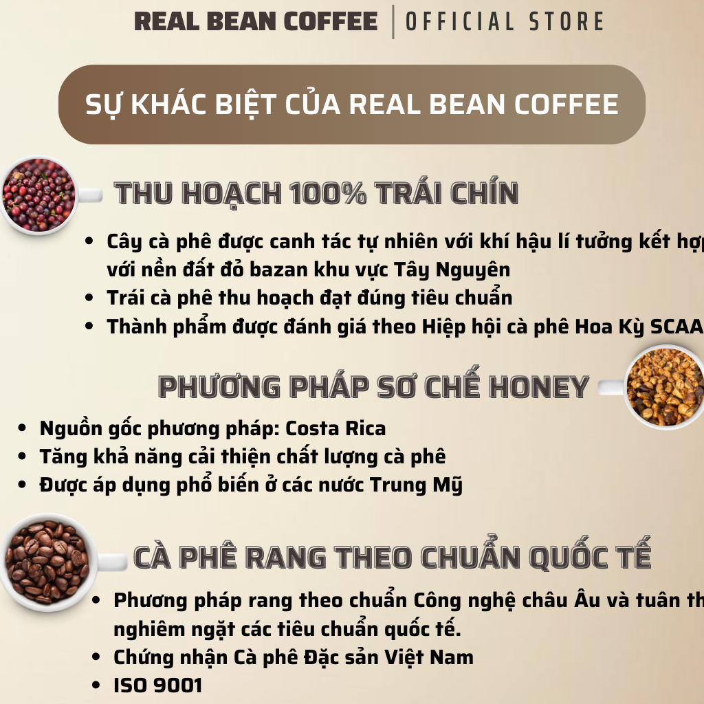 Cà phê phin giấy tiện lợi – Hộp 10 Gói – 100% Rang Mộc – Vị Đậm, Thơm Nồng – REAL BEAN COFFEE