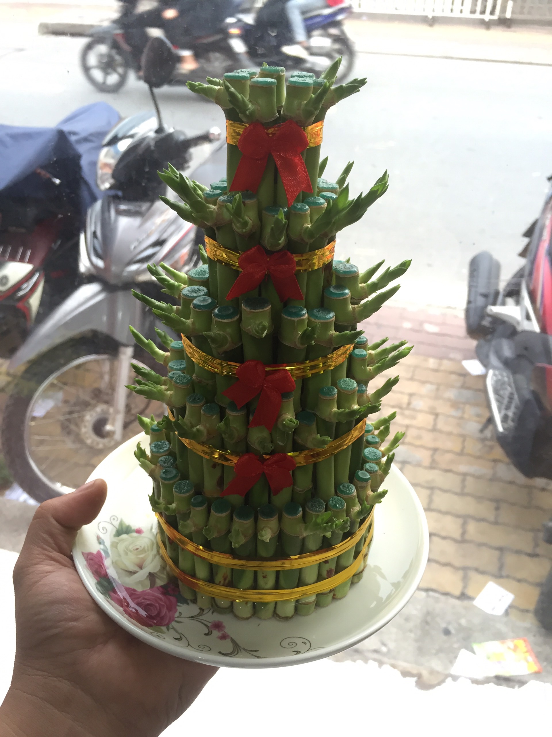 Cây Phát Tài 5 Tầng