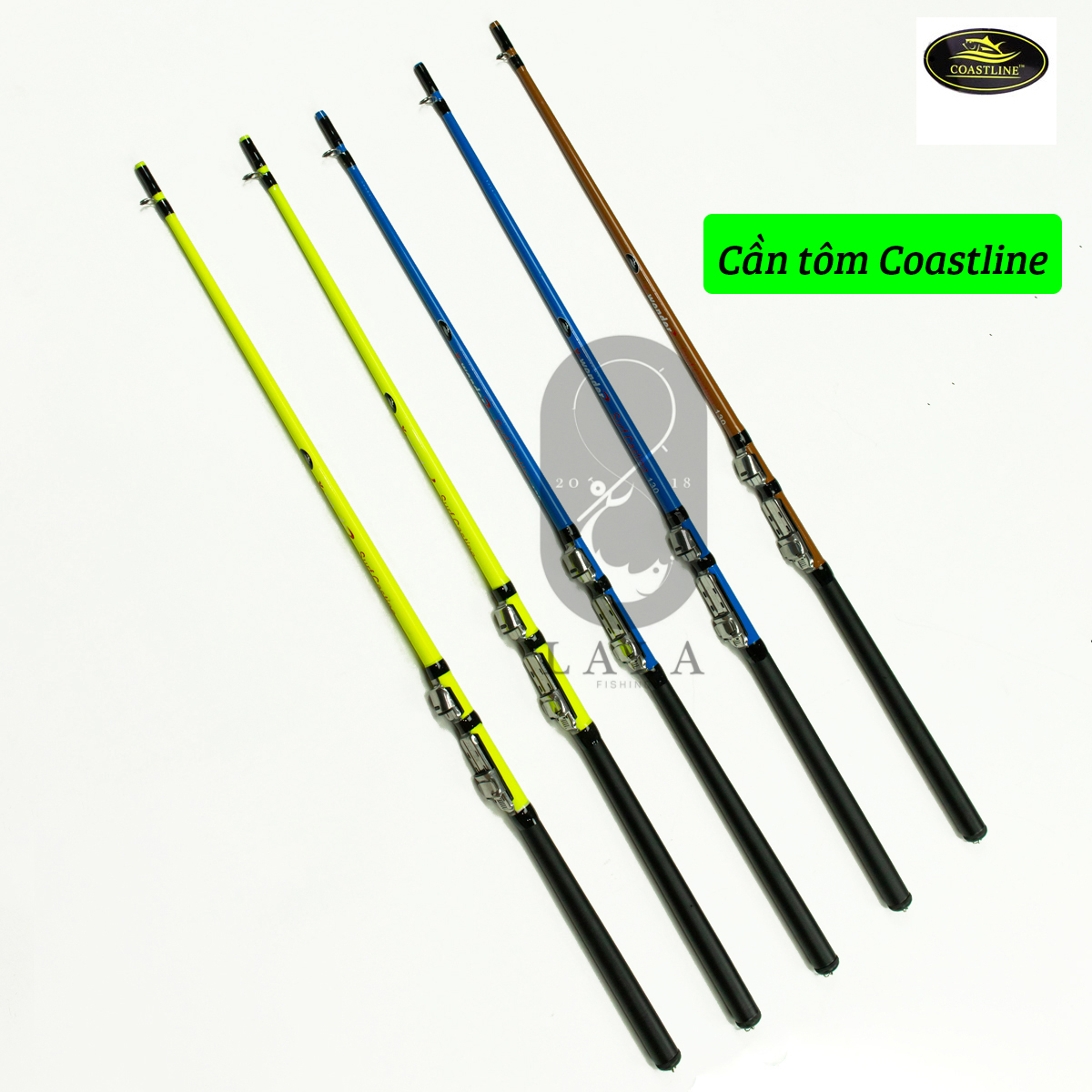 Combo Cần tôm CoastLine X-Wonder Surf Casting 1m3 (đọt đặc) và máy tôm siêu rẻ