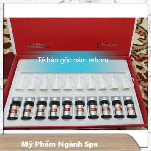 TẾ BÀO GỐC NÁM REBORNCELL