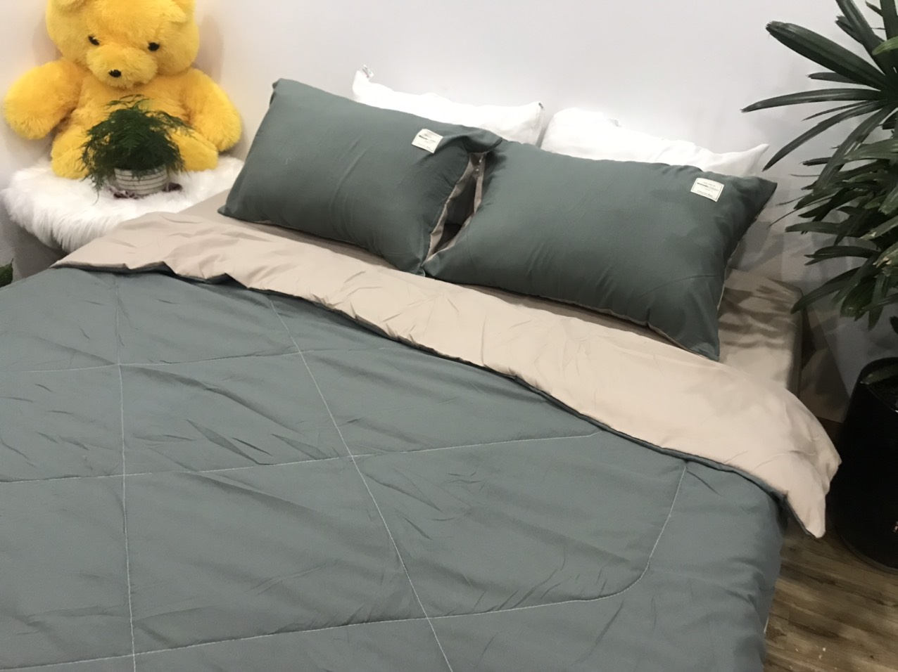Bộ Chăn Ga Gối Cotton TiCi ( gồm 1 chăn hè đã chần bông, 1 ga và 2 vỏ gôi nằm )